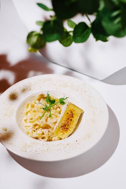 Mikro yeşilliklerle süslenmiş sofistike bir tabak kremalı makarna ve parmesan tozlu beyaz seramik bir tabakta sunulan bir dilim çürük peynir. Parlak, sanatsal kompozisyon ve yapraklı gölgeler bir gurme yemek oluşturur.