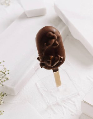 Çubuğun üzerindeki çikolatalı dondurma, narin çiçek aksanıyla geliştirilmiş beyaz bir arka planda sergileniyor. Bu ikram hoşgörüyü davet ediyor ve tatlı bir nostalji hissi uyandırıyor..