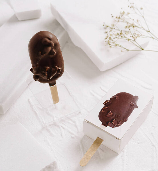 Два шоколадных эскимо лежат на белом фоне. Одно фруктовое мороженое находится в коробке, в то время как другое отображается вертикально, в окружении нежных цветов.