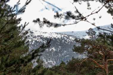 Ağaçlarla çevrili doğal bir manzara uzaktaki karlı bir sıradağda, berrak mavi gökyüzü ve kabarık beyaz bulutlar karşısında.