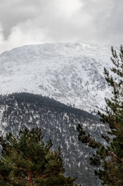 Bulutlu bir gökyüzünün altında, yamacında ağaçlar olan karlı bir dağın yer aldığı doğal bir manzara. Aşağıdaki çayırlık manzaraya ekleniyor