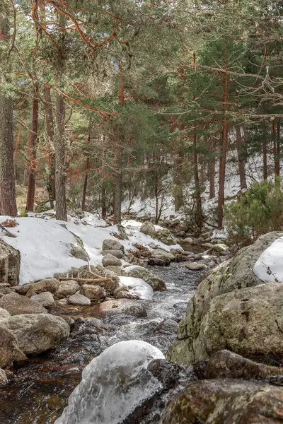 Ένα Ποτάμι Διασχίζει Ένα Χιονισμένο Δάσος Διασχίζοντας Βράχους Δέντρα Και — Φωτογραφία Αρχείου