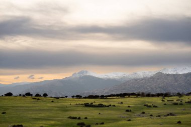 Güzel doğal bir manzarada bulutlu bir gökyüzünün altında görkemli dağların zeminine uzanan geniş bir çimen tarlasının yer aldığı pitoresk bir manzara.