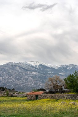 Bir tarlanın ortasında, arkasında dağlar olan bir ev var. Sahne bulutlarla süslenmiş bir gökyüzünü içeriyor, otlaklarla dolu doğal bir arazide geçiyor.