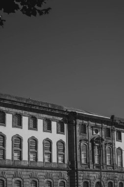 Önünde bir ağaç olan yüksek bir binayı açık bir gökyüzüne karşı gösteren tek renkli bir görüntü.