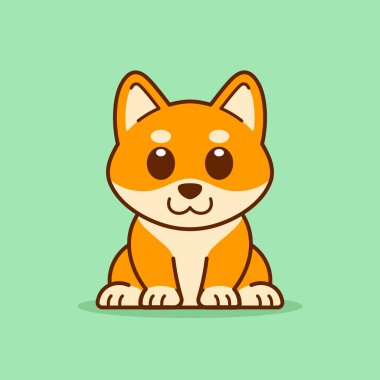 Şirin Shiba Inu Oturan Resimler