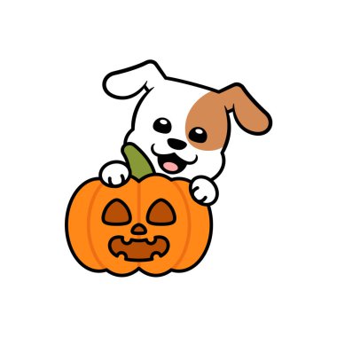 Jack o Lantern 'le Vektör Şirin Köpek