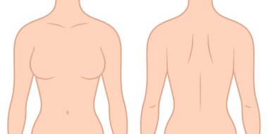 Kadın Üst Vücut Vektörü İllüstrasyonu