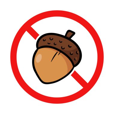 Beyaz Arkaplanda Meşe Palamudu Yok