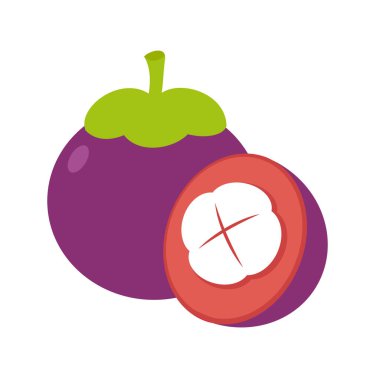 Çizgi film Mangosteen Düz Tasarım İllüstrasyonu