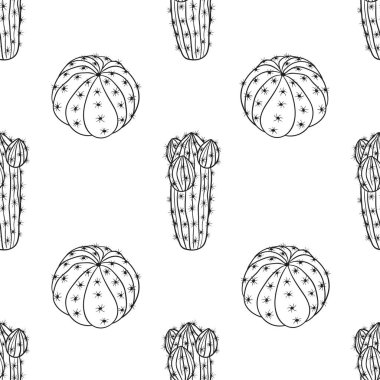 Beyaz bir arka planda kaktüs ve echeveria bitkisi olan vektör grafiksiz desen