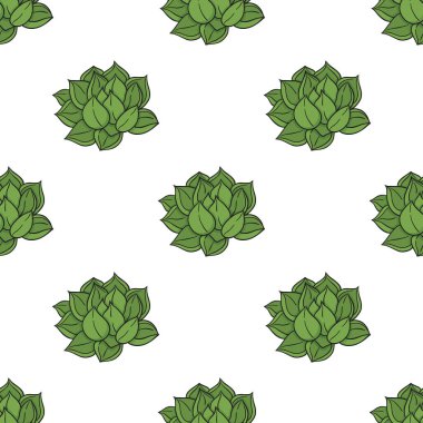 Beyaz bir arka planda kaktüs ve echeveria bitkisi olan vektör grafiksiz desen