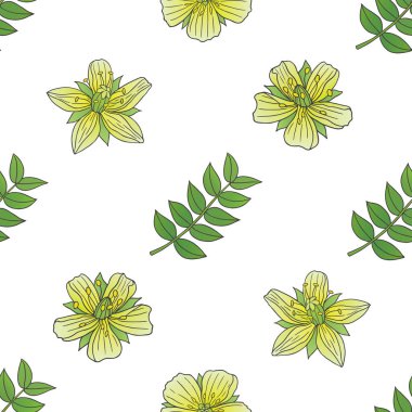 Medicinal herbs collection. Vector botanical seamless pattern of a plant Tribulus Terrestris on a white backround
