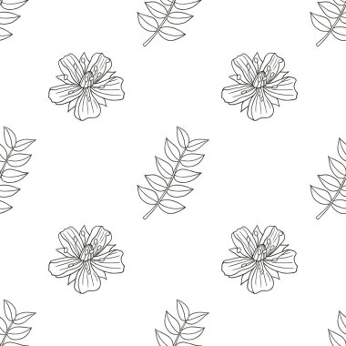 Medicinal herbs collection. Vector botanical seamless pattern of a plant Tribulus Terrestris on a white backround