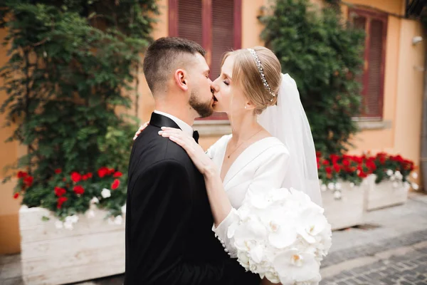Vacker Brud Och Brudgum Omfamnar Och Kysser Sin Bröllopsdag — Stockfoto