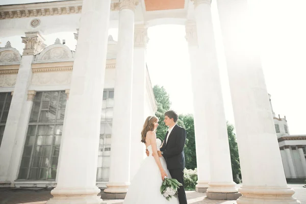 Krásný Šťastný Svatební Pár Nevěsta Dlouhými Bílými Šaty Pózuje Krásném — Stock fotografie