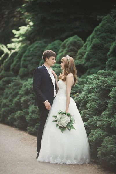 Красива Романтична Весільна Пара Молодят Обіймається Парку Заході Сонця — стокове фото