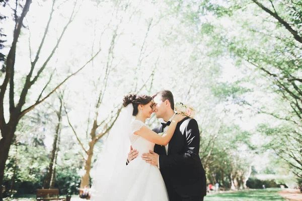 Счастливая Супружеская Пара Очаровательный Жених Идеальная Невеста Позирует Парке — стоковое фото