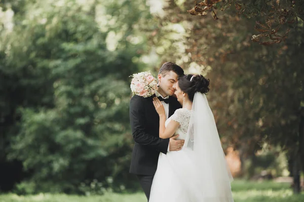 Lyckligt Bröllop Par Charmiga Brudgummen Och Perfekt Brud Poserar Park — Stockfoto