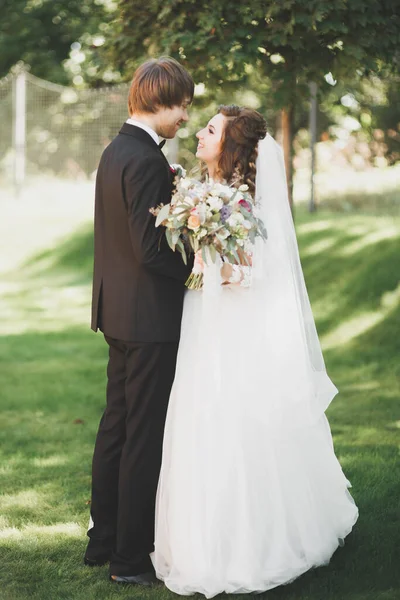 Gyönyörű Romantikus Esküvő Pár Friss Házasok Ölelkeznek Parkban Naplementekor — Stock Fotó