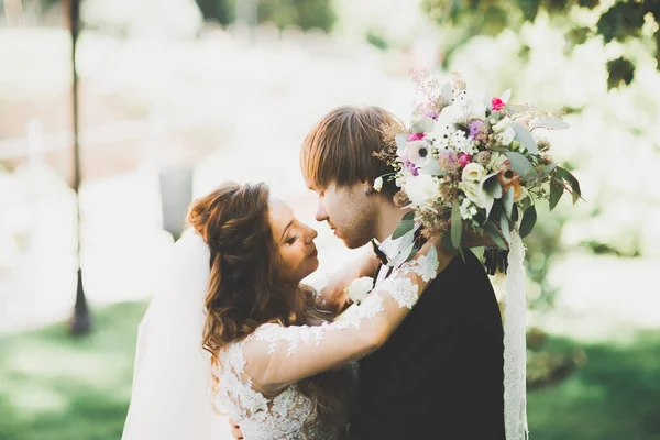 Красива Романтична Весільна Пара Молодят Обіймається Парку Заході Сонця — стокове фото