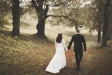 Genç ve güzel bir çift parkta öpüşüyor ve gülümsüyor..