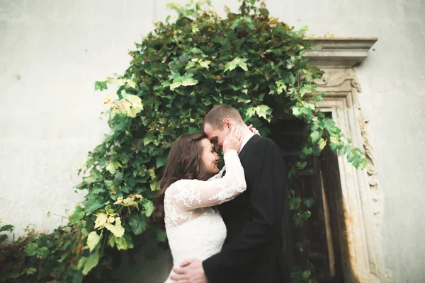 Pareja Casada Sensual San Valentín Abrazándose Frente Viejo Castillo Eslavo —  Fotos de Stock