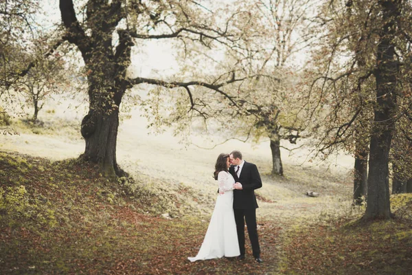 Красивая Молодая Свадебная Пара Целуется Улыбается Парке — стоковое фото