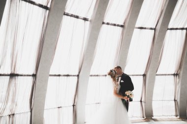 Lüks evli çift, gelin ve damat..