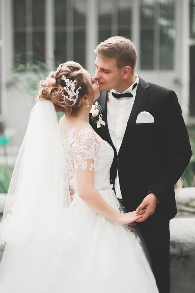 Glad Bröllop Par Promenader Botanisk Park — Stockfoto