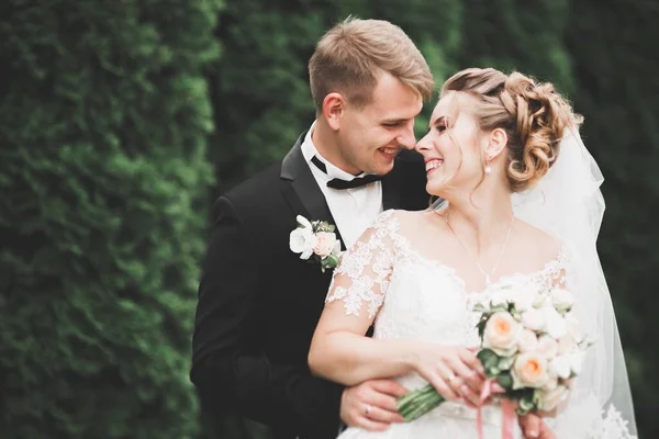 美しい若い結婚式のカップルありますキスと笑顔で公園 — ストック写真