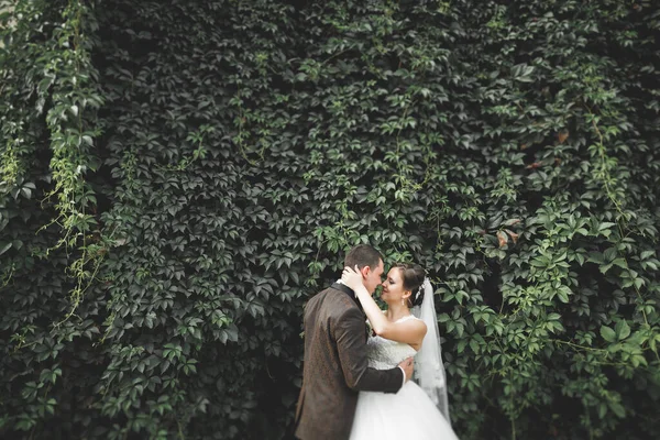 Stilvolles Brautpaar Spaziert Hochzeitstag Mit Blumenstrauß Durch Den Park — Stockfoto