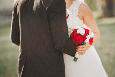 Güzel bir peri masalı yeni evli çift eski ortaçağ şatosunun yakınlarında sarılıyor..