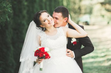 Botanik parkında yürüyen mutlu bir çift..