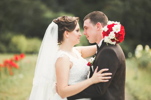 Romantikus Tündérmese Boldog Friss Házaspár Ölelés Csókolózás Parkban Fák Háttérben — Stock Fotó