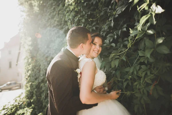 Stilvolles Brautpaar Spaziert Hochzeitstag Mit Blumenstrauß Durch Den Park — Stockfoto