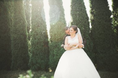 Botanik parkında yürüyen mutlu bir çift..