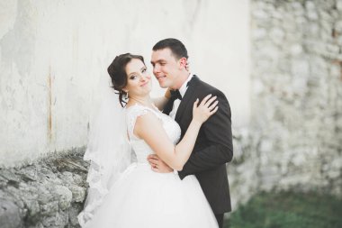 Güzel bir peri masalı yeni evli çift eski ortaçağ şatosunun yakınlarında sarılıyor..