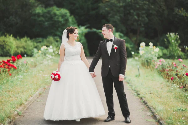 Romantik Peri Masalı Mutlu Yeni Evli Çift Parkta Sarılıp Öpüşüyor — Stok fotoğraf
