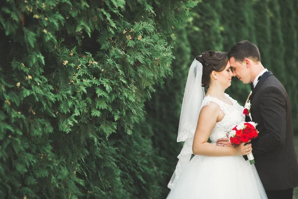 Gelukkig Bruidspaar Wandelen Een Botanisch Park — Stockfoto