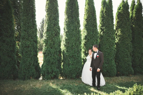Boldog Házaspár Sétál Botanikus Parkban — Stock Fotó