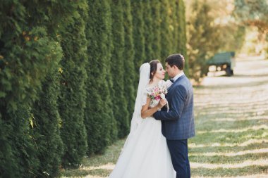 Botanik parkında yürüyen mutlu bir çift..