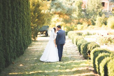 Botanik parkında yürüyen mutlu bir çift..