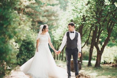 Botanik parkında yürüyen mutlu bir çift..