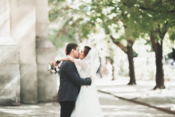 Luxus Házaspár Menyasszony Vőlegény Pózol Óvárosban — Stock Fotó