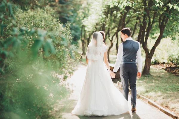 幸福的新婚夫妇在植物园散步 — 图库照片