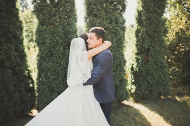 Botanik parkında yürüyen mutlu bir çift..