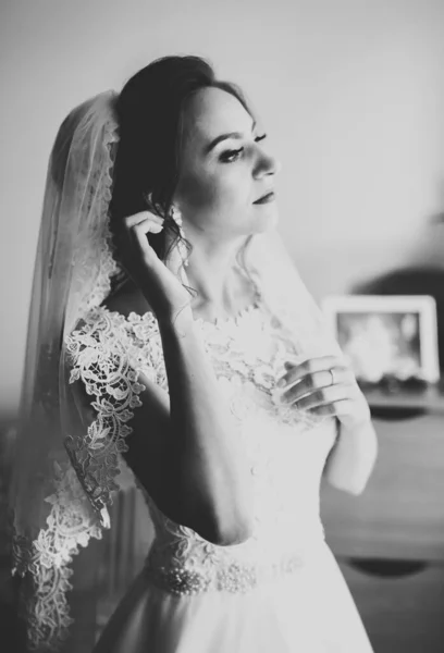 Портрет Красивой Невесты Фатой Свадьбе Утром — стоковое фото