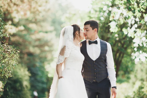 Щаслива Весільна Пара Гуляє Ботанічному Парку — стокове фото