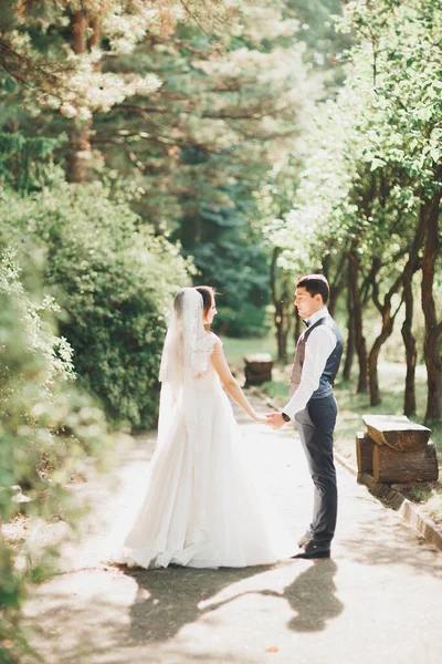 Glad Bröllop Par Promenader Botanisk Park — Stockfoto